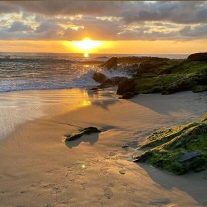 啪啪免费网站入口链接
